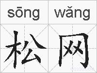 松网的拼音