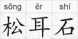 松耳石的拼音