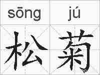 松菊的拼音