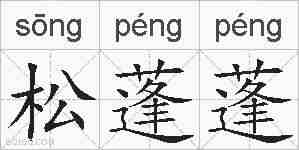 松蓬蓬的拼音
