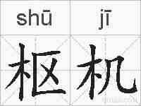 枢机的拼音