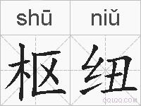 枢纽的拼音