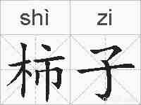 柿子的拼音