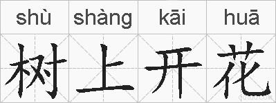 树上开花的拼音