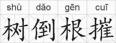树倒根摧的拼音