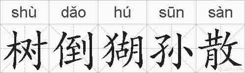 树倒猢孙散的拼音