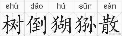 树倒猢狲散的拼音
