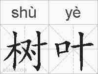 树叶的拼音