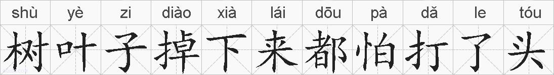 树叶子掉下来都怕打了头的拼音