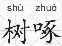 树啄的拼音