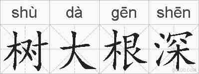 树大根深的拼音