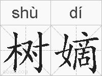 树嫡的拼音