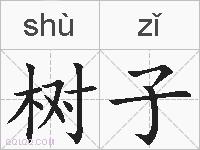 树子的拼音