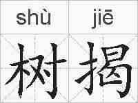 树揭的拼音