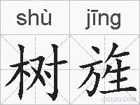 树旌的拼音