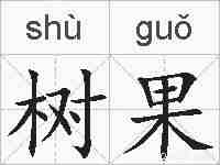 树果的拼音
