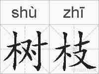 树枝的拼音