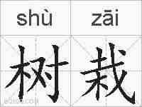 树栽的拼音
