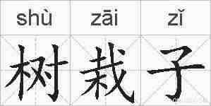 树栽子的拼音