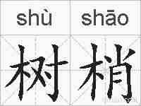 树梢的拼音