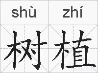 树植的拼音