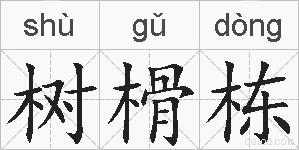 树榾栋的拼音