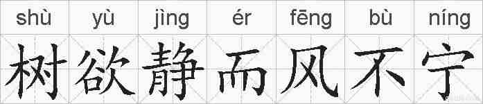 树欲静而风不宁的拼音