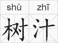 树汁的拼音