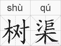 树渠的拼音