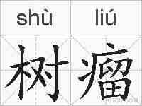树瘤的拼音
