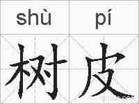 树皮的拼音
