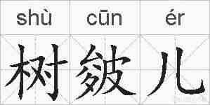 树皴儿的拼音