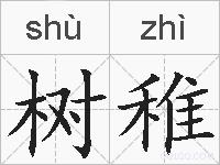 树稚的拼音