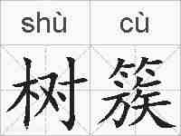 树簇的拼音