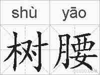 树腰的拼音