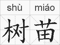 树苗的拼音
