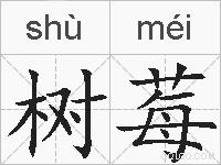 树莓的拼音