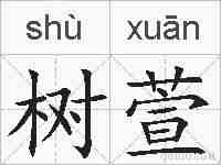 树萱的拼音