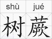 树蕨的拼音