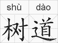 树道的拼音