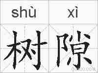 树隙的拼音