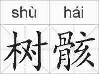 树骸的拼音