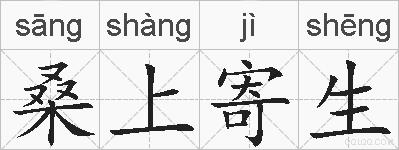 桑上寄生的拼音