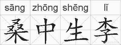 桑中生李的拼音