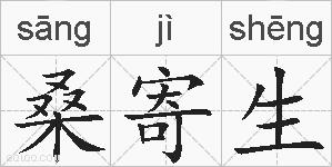桑寄生的拼音