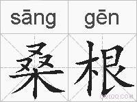桑根的拼音