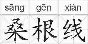 桑根线的拼音