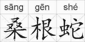 桑根蛇的拼音