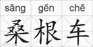 桑根车的拼音