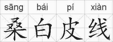 桑白皮线的拼音
